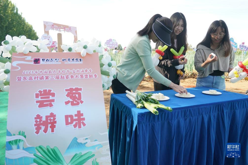 维多利亚vic112